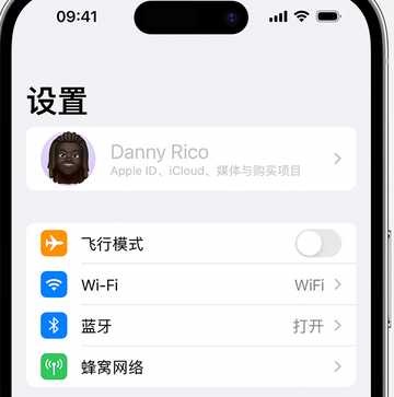 梨树appleID维修服务iPhone设置中Apple ID显示为灰色无法使用 