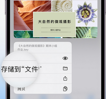 梨树apple维修中心分享iPhone文件应用中存储和找到下载文件