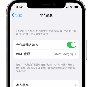 梨树apple服务站点分享iPhone上个人热点丢失了怎么办