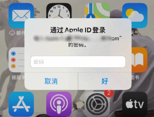 梨树苹果设备维修分享无故多次要求输入AppleID密码怎么办 