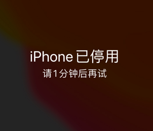 梨树苹果手机维修分享:iPhone 显示“不可用”或“已停用”怎么办？还能保留数据吗？ 