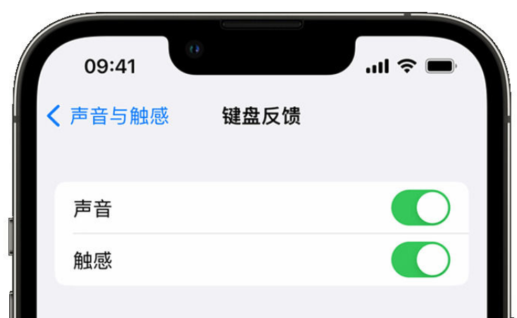 梨树苹果手机维修分享iPhone 14触感键盘使用方法 