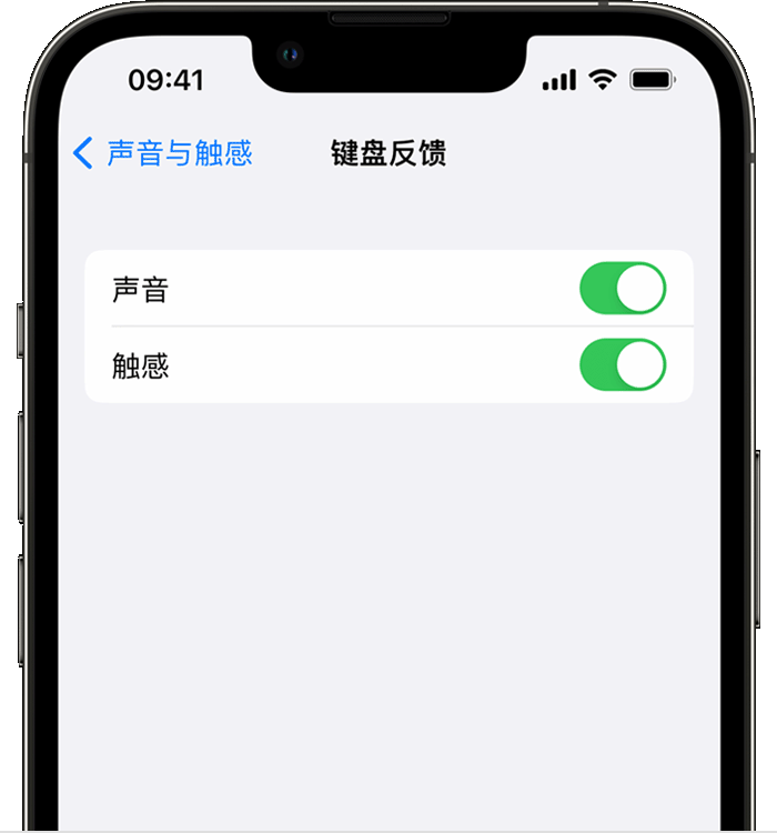 梨树苹果14维修店分享如何在 iPhone 14 机型中使用触感键盘 