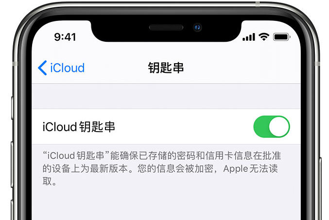 梨树苹果手机维修分享在 iPhone 上开启 iCloud 钥匙串之后会储存哪些信息 