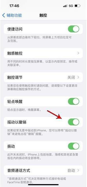 梨树苹果手机维修分享iPhone手机如何设置摇一摇删除文字 